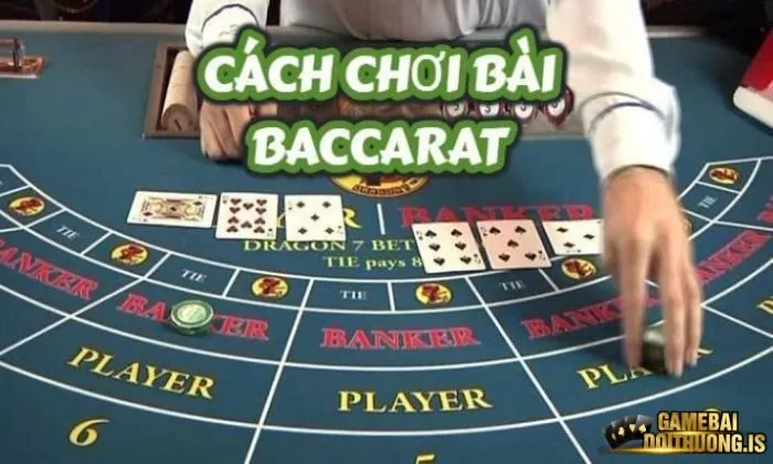 Cách chơi Baccarat Zowin đơn giản cho người mới bắt đầu
