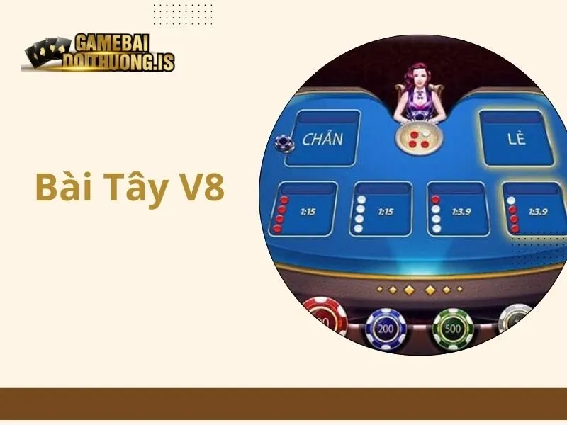 Bài Tây V8