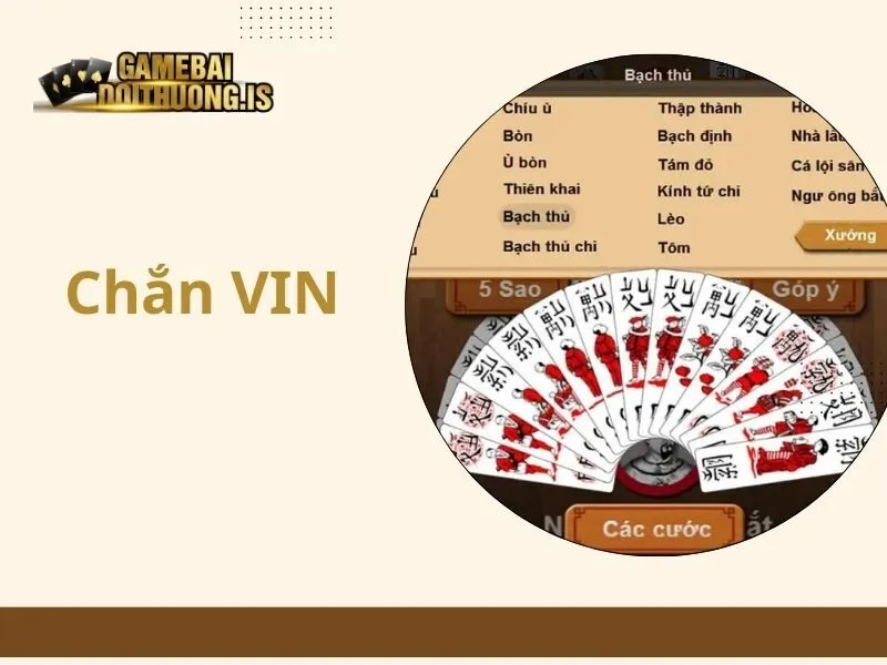 Chắn VIN