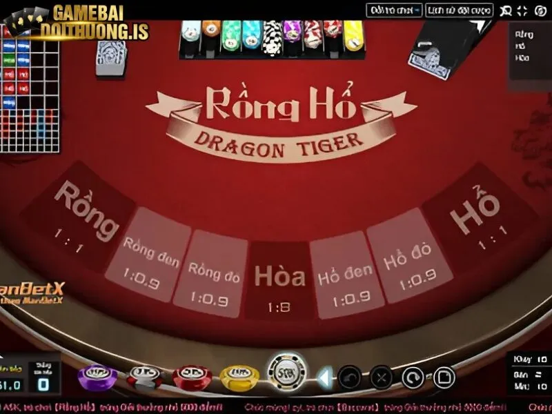 Mẹo chơi cá cược rồng hổ cơ bản 