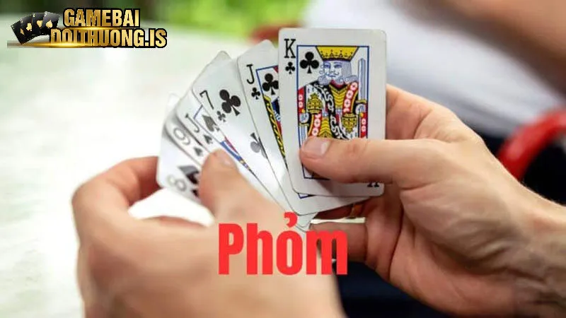 Phỏm rikvip