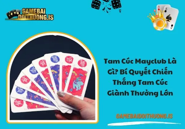 Tam cúc mayclub