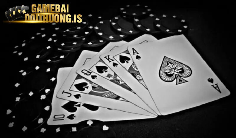 Tuân thủ các quy tắc đặt cược quan trọng